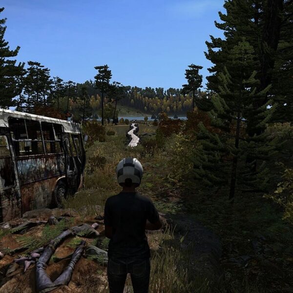 Купить Дейз / DayZ steam ключ