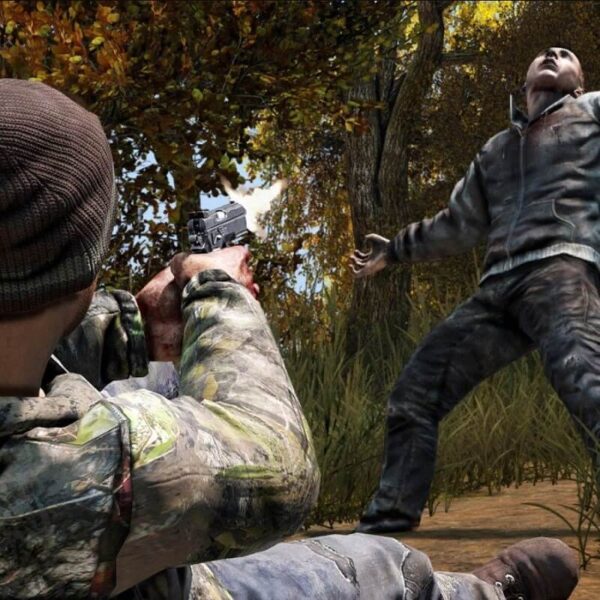 Купить Дейз / DayZ steam ключ