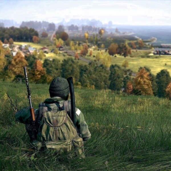 Купить Дейз / DayZ steam ключ