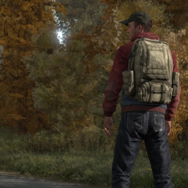 Купить Дейз / DayZ steam ключ