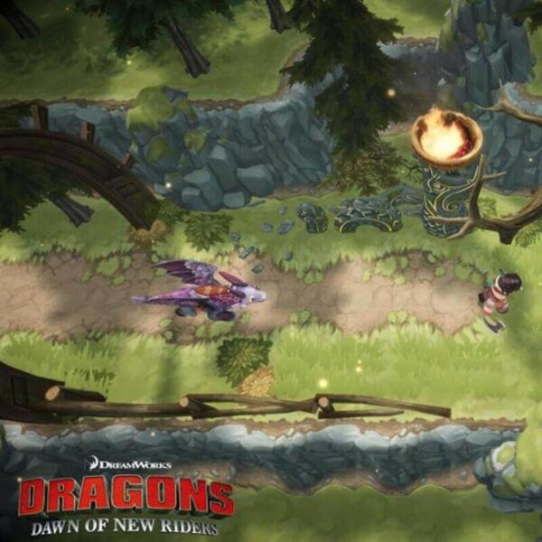 DreamWorks Dragons: Dawn of New Riders - Steam ключ