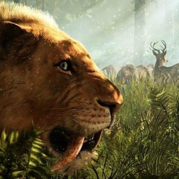 Far Cry Primal Standard Edition - Steam ключ