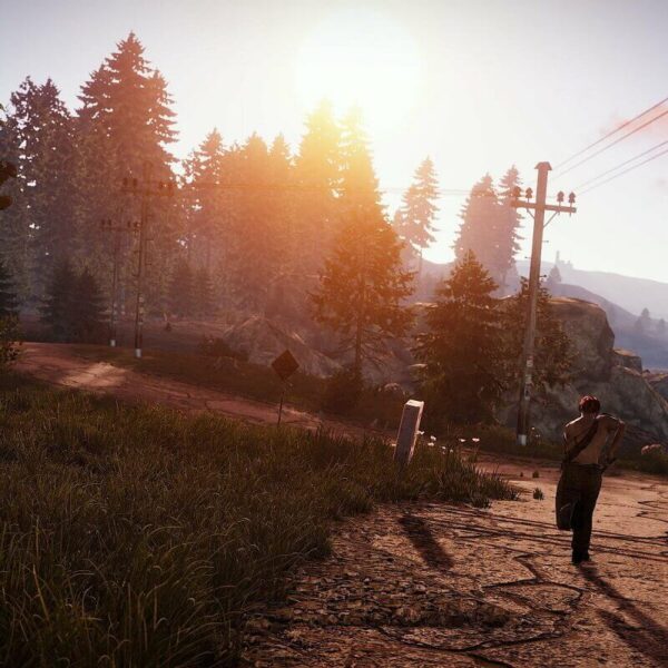 Купить Раст / Rust steam ключ