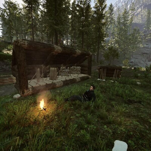Sons Of The Forest - Steam ключ