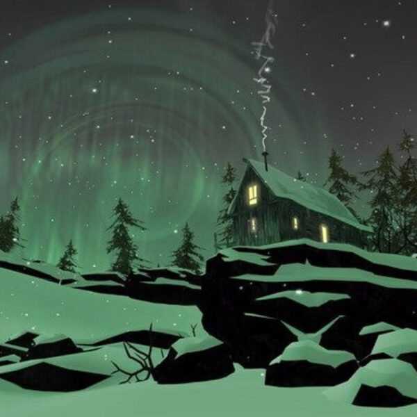 Купить The Long Dark steam ключ