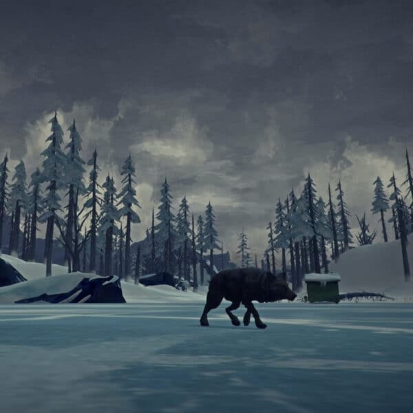 Купить The Long Dark steam ключ