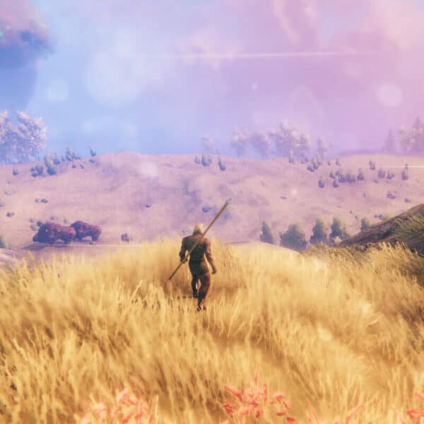 Valheim - Steam ключ