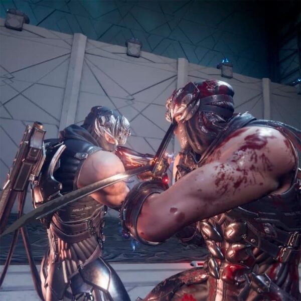 Ninja Gaiden 4 - Steam ключ