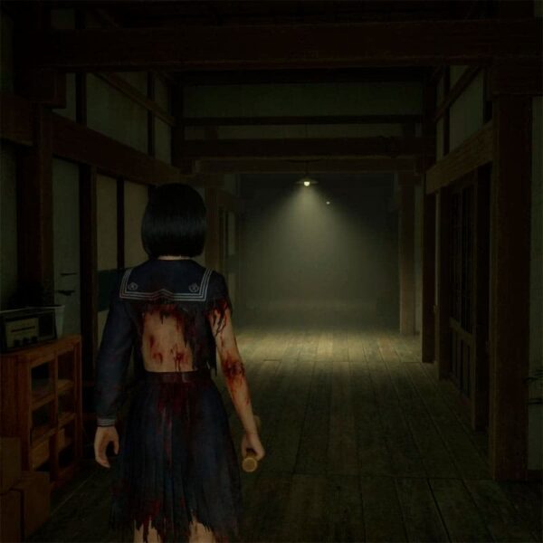 Silent Hill f - Steam ключ